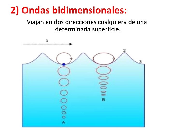 2) Ondas bidimensionales: Viajan en dos direcciones cualquiera de una determinada superficie. 