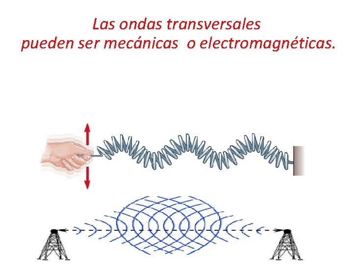 Las ondas transversales pueden ser mecánicas o electromagnéticas. 