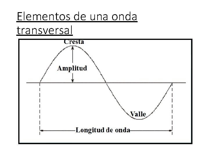 Elementos de una onda transversal 