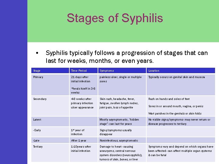 Stages of Syphilis • Syphilis typically follows a progression of stages that can last