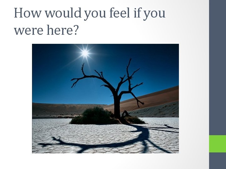 How would you feel if you were here? 