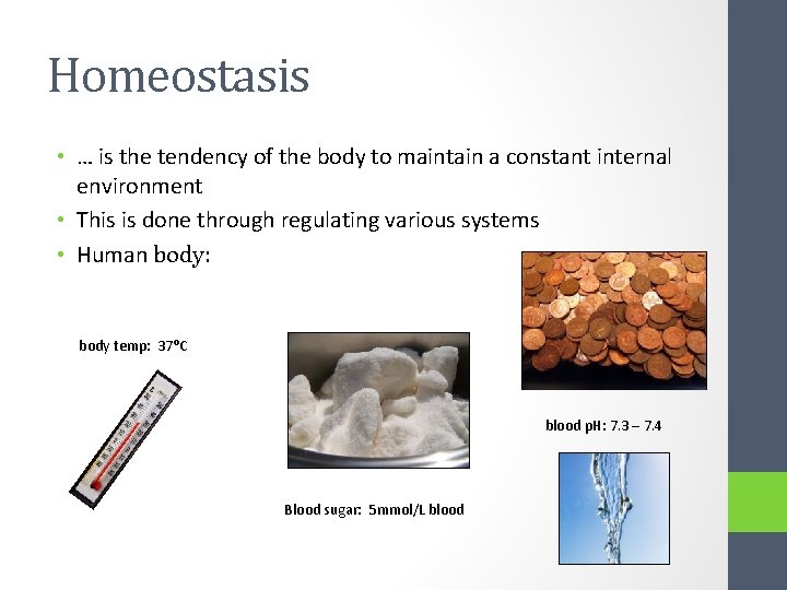 Homeostasis • … is the tendency of the body to maintain a constant internal