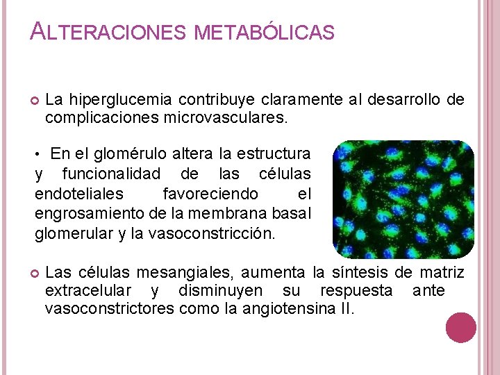 ALTERACIONES METABÓLICAS La hiperglucemia contribuye claramente al desarrollo de complicaciones microvasculares. • En el