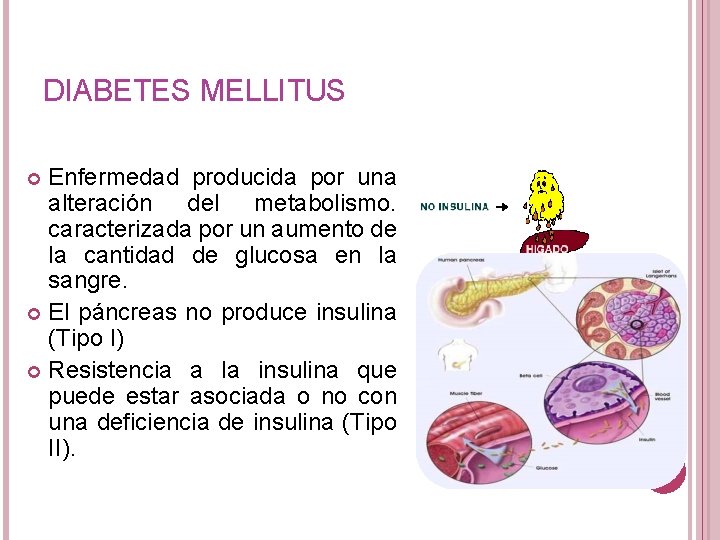 DIABETES MELLITUS Enfermedad producida por una alteración del metabolismo. caracterizada por un aumento de