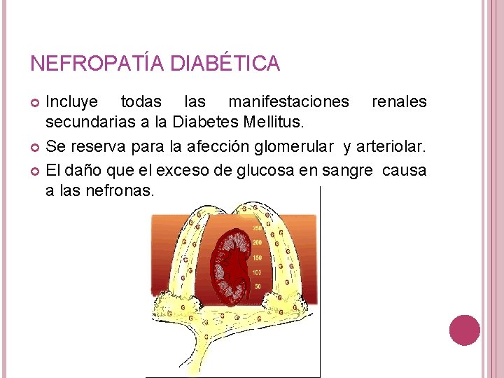 NEFROPATÍA DIABÉTICA Incluye todas las manifestaciones renales secundarias a la Diabetes Mellitus. Se reserva