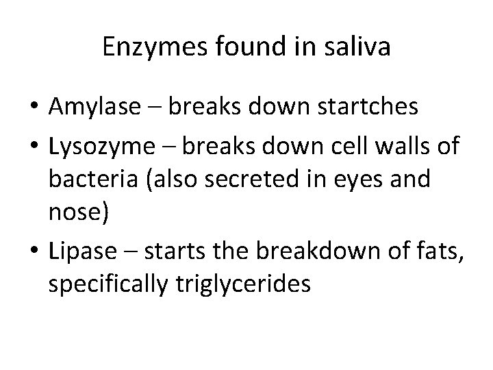 Enzymes found in saliva • Amylase – breaks down startches • Lysozyme – breaks