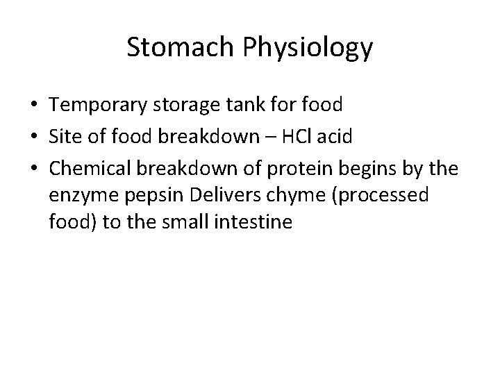 Stomach Physiology • Temporary storage tank for food • Site of food breakdown –