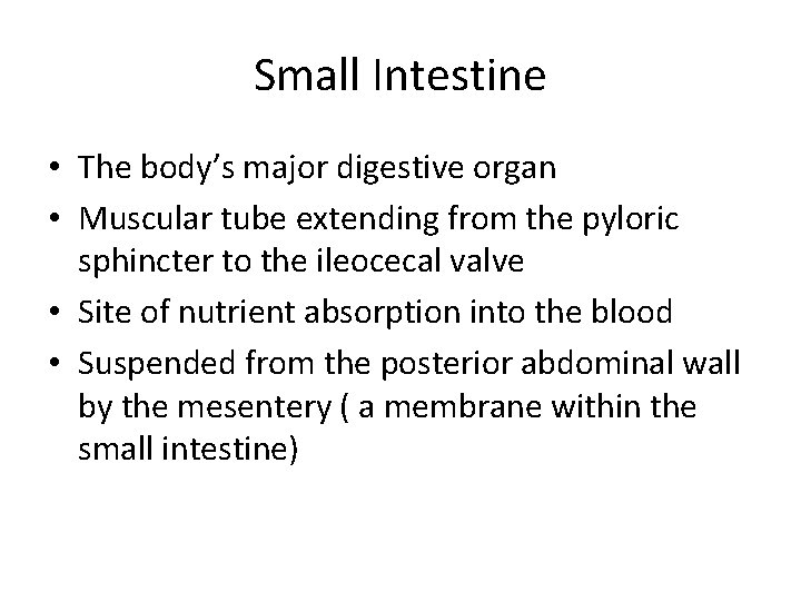 Small Intestine • The body’s major digestive organ • Muscular tube extending from the