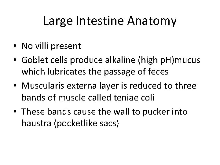 Large Intestine Anatomy • No villi present • Goblet cells produce alkaline (high p.