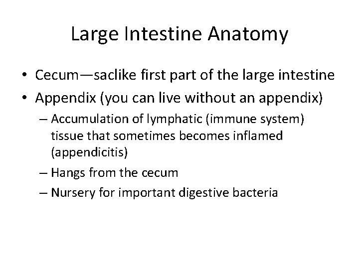Large Intestine Anatomy • Cecum—saclike first part of the large intestine • Appendix (you