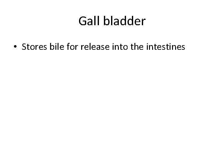Gall bladder • Stores bile for release into the intestines 