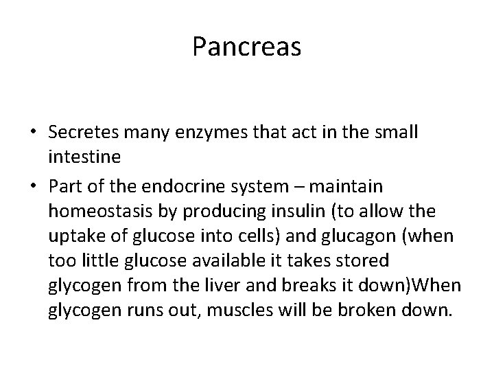 Pancreas • Secretes many enzymes that act in the small intestine • Part of