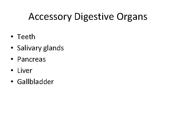 Accessory Digestive Organs • • • Teeth Salivary glands Pancreas Liver Gallbladder 