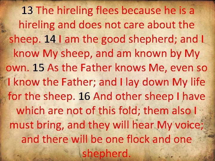 13 The hireling flees because he is a hireling and does not care about