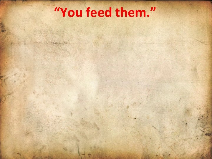 “You feed them. ” 