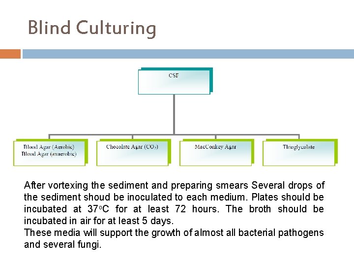 Blind Culturing After vortexing the sediment and preparing smears Several drops of the sediment