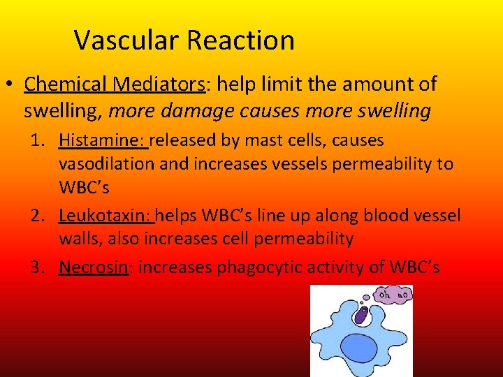 Vascular Reaction • Chemical Mediators: help limit the amount of swelling, more damage causes