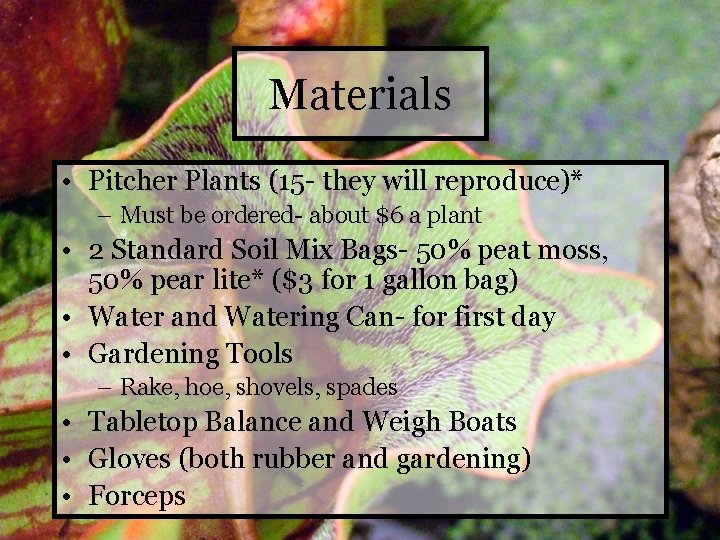 Materials • Pitcher Plants (15 - they will reproduce)* – Must be ordered- about