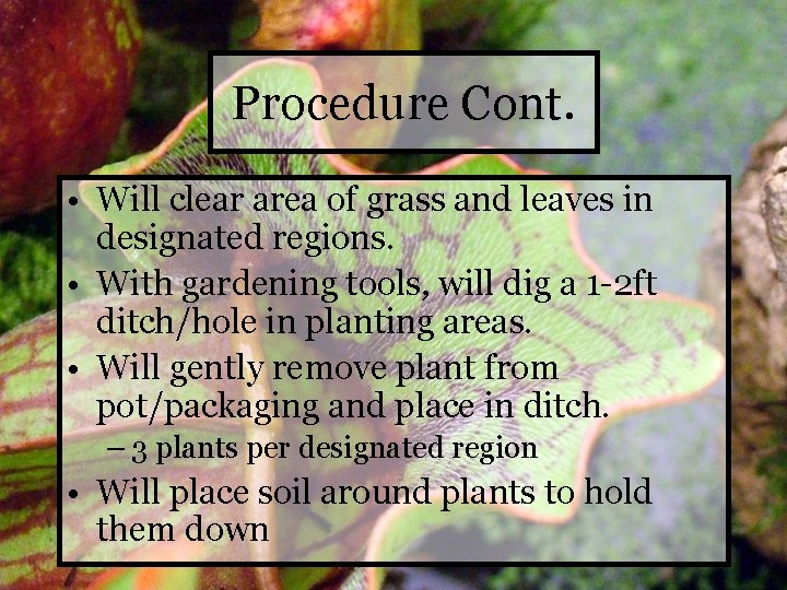 Procedure Cont. • Will clear area of grass and leaves in designated regions. •