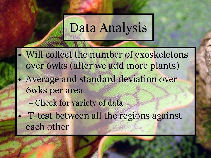 Data Analysis • Will collect the number of exoskeletons over 6 wks (after we