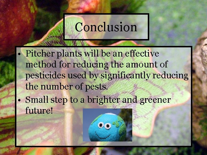 Conclusion • Pitcher plants will be an effective method for reducing the amount of