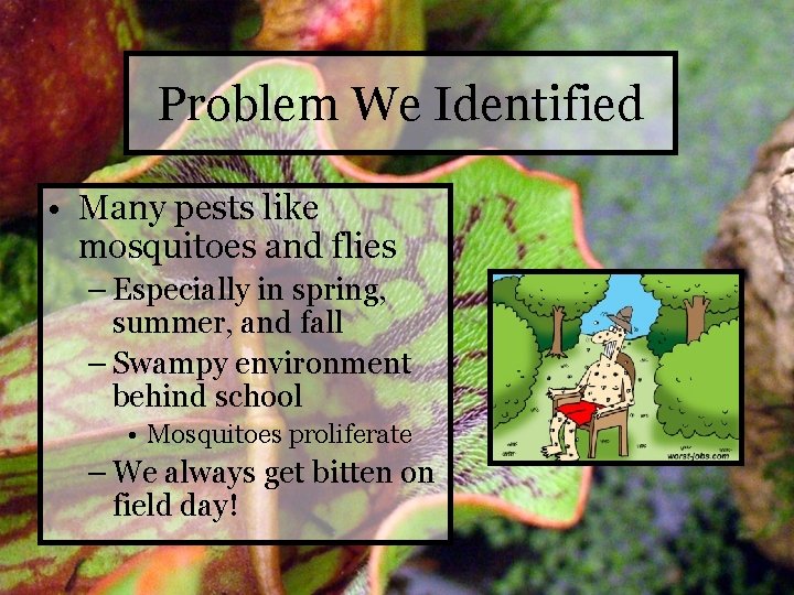 Problem We Identified • Many pests like mosquitoes and flies – Especially in spring,