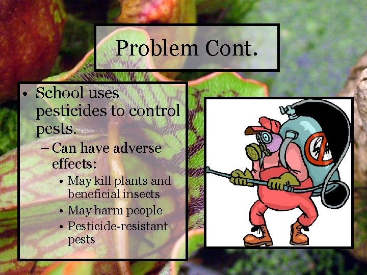 Problem Cont. • School uses pesticides to control pests. – Can have adverse effects: