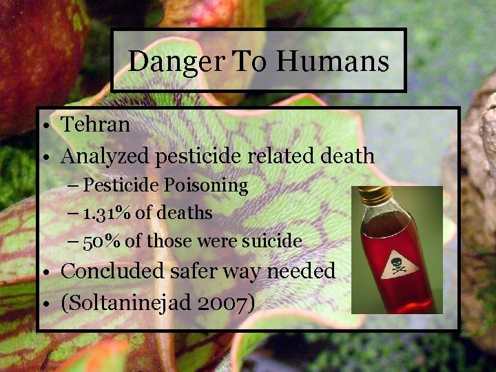 Danger To Humans • Tehran • Analyzed pesticide related death – Pesticide Poisoning –