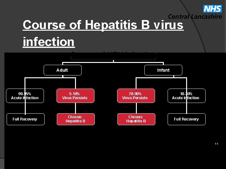 Course of Hepatitis B virus infection Course of HBV Infection Adult 90 -95% Acute