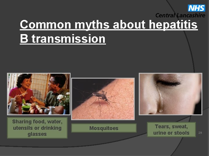 Common myths about hepatitis B transmission Hepatitis B is Not transmitted by Sharing food,