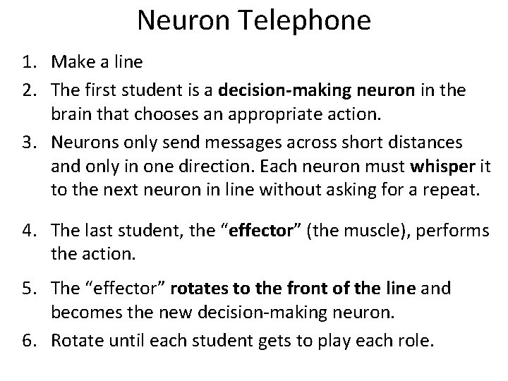 Neuron Telephone 1. Make a line 2. The first student is a decision-making neuron