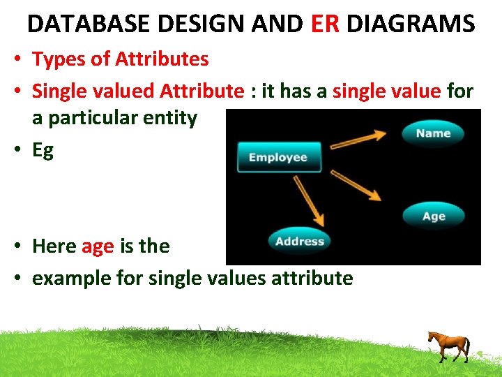 DATABASE DESIGN AND ER DIAGRAMS • Types of Attributes • Single valued Attribute :