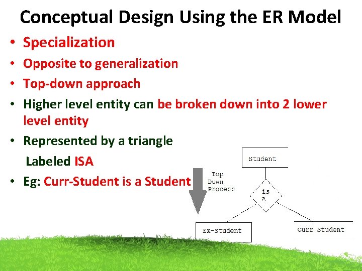 Conceptual Design Using the ER Model • Specialization • Opposite to generalization • Top-down