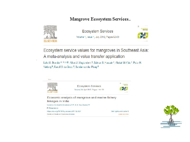 Mangrove Ecosystem Services. . 