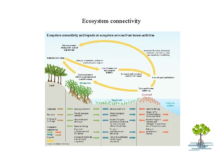 Ecosystem connectivity 