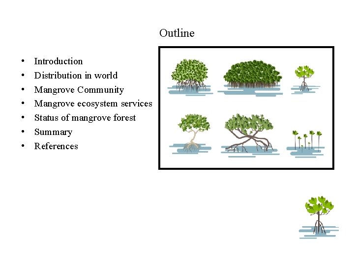 Outline • • Introduction Distribution in world Mangrove Community Mangrove ecosystem services Status of