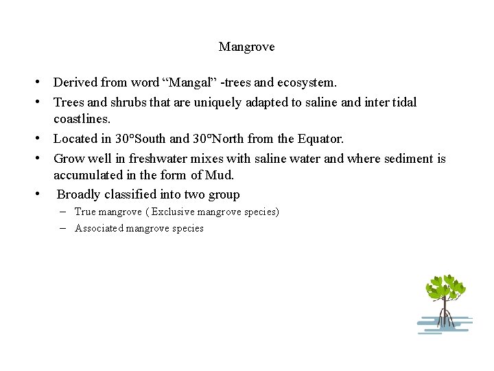 Mangrove • Derived from word “Mangal” -trees and ecosystem. • Trees and shrubs that