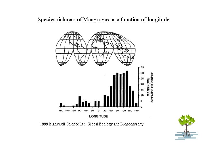 Species richness of Mangroves as a function of longitude 1999 Blackwell Science Ltd, Global