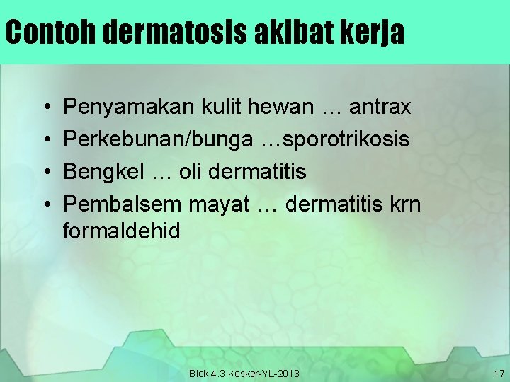 Contoh dermatosis akibat kerja • • Penyamakan kulit hewan … antrax Perkebunan/bunga …sporotrikosis Bengkel