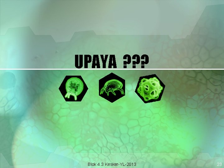 UPAYA ? ? ? Blok 4. 3 Kesker-YL-2013 23 