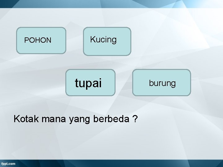 POHON Kucing tupai Kotak mana yang berbeda ? burung 