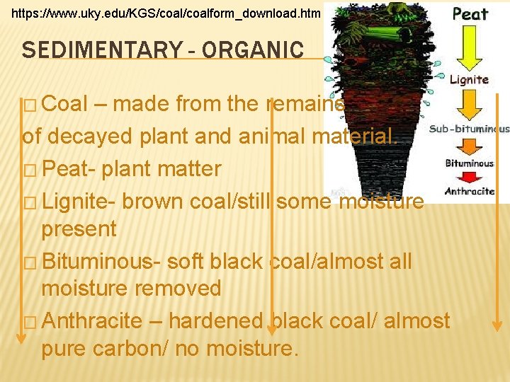 https: //www. uky. edu/KGS/coalform_download. htm SEDIMENTARY - ORGANIC � Coal – made from the https: //www. uky. edu/KGS/coalform_download. htm SEDIMENTARY - ORGANIC � Coal – made from the