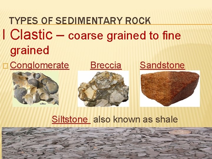 TYPES OF SEDIMENTARY ROCK I Clastic – coarse grained to fine grained � Conglomerate TYPES OF SEDIMENTARY ROCK I Clastic – coarse grained to fine grained � Conglomerate