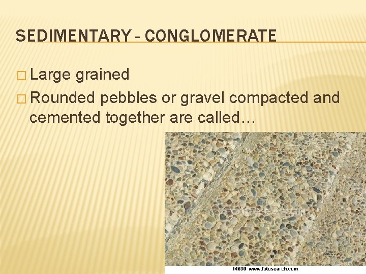 SEDIMENTARY - CONGLOMERATE � Large grained � Rounded pebbles or gravel compacted and cemented SEDIMENTARY - CONGLOMERATE � Large grained � Rounded pebbles or gravel compacted and cemented