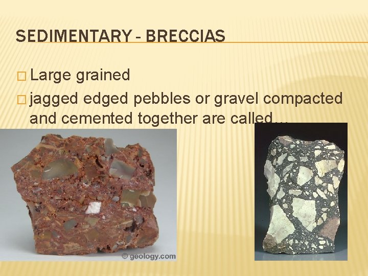 SEDIMENTARY - BRECCIAS � Large grained � jagged edged pebbles or gravel compacted and SEDIMENTARY - BRECCIAS � Large grained � jagged edged pebbles or gravel compacted and