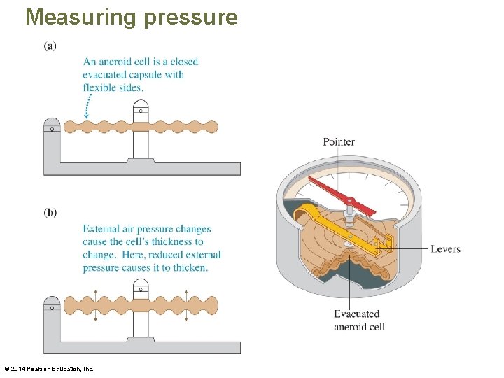 Measuring pressure © 2014 Pearson Education, Inc. 