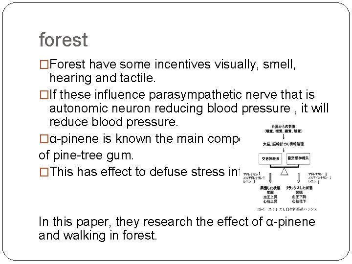 forest �Forest have some incentives visually, smell, hearing and tactile. �If these influence parasympathetic