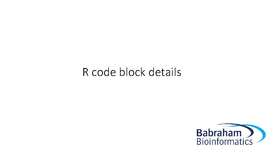 R code block details 