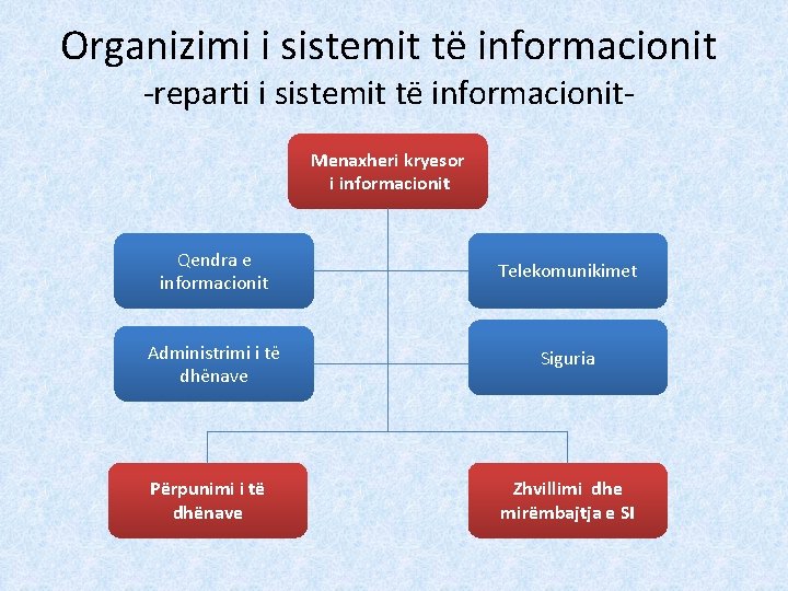 Organizimi i sistemit të informacionit -reparti i sistemit të informacionit. Menaxheri kryesor i informacionit