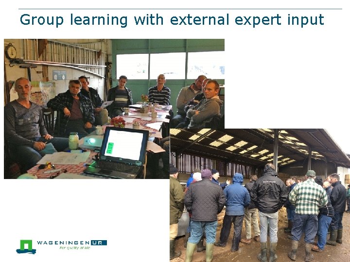 Group learning with external expert input 